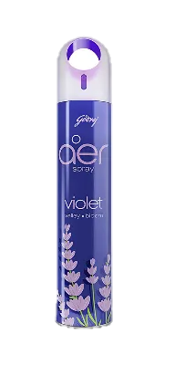 Godrej Aer Room Air Freshener Spray Violet Valley Bloom