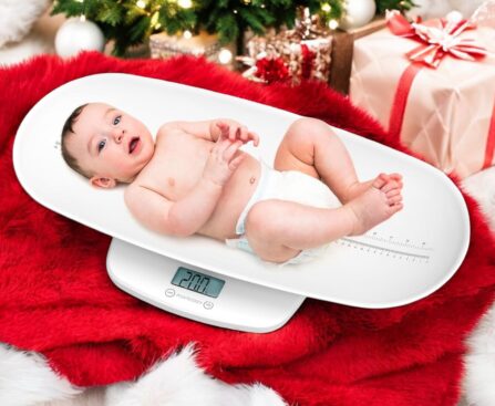 Best Baby Scale